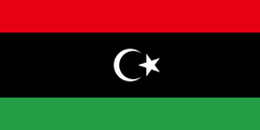 ZSI Libya