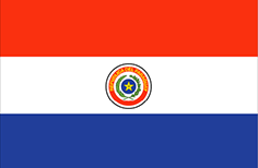 ZSI Paraguay