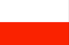 ZSI Polónia